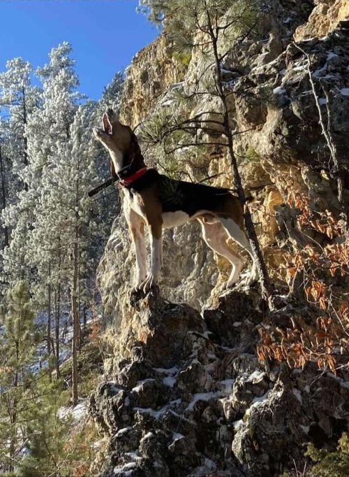 What to Expect What to Expect